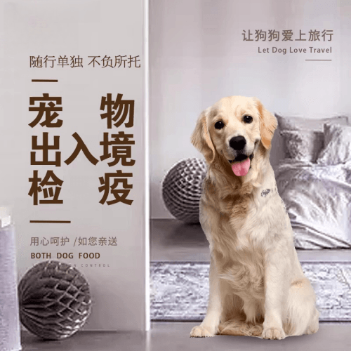 郑州宠物托运到哥伦比亚猫狗宠物入境规定和
