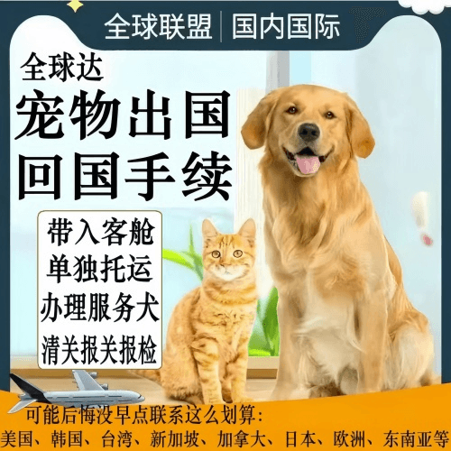 郑州宠物托运到柬埔寨宠物入境规定和要求