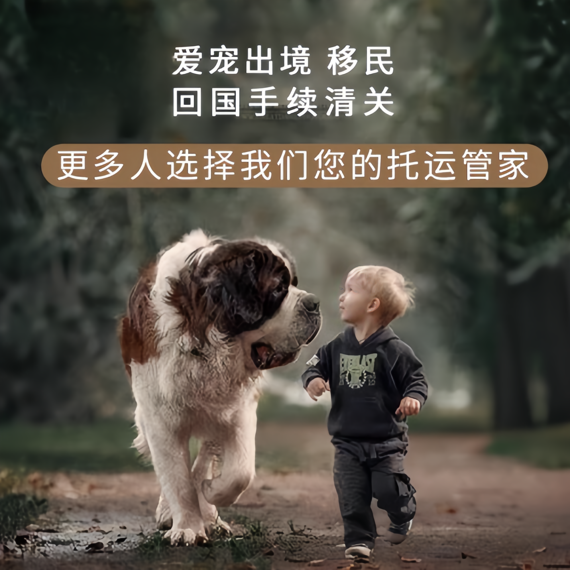满财郑州宠物全球达宠物托运在遵守入境目的地政策的条件