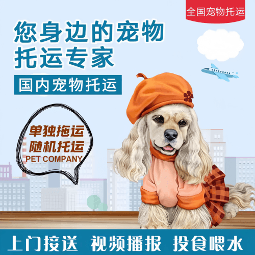 满财郑州宠物全球达宠物托运作为专业的宠物运输代理机构